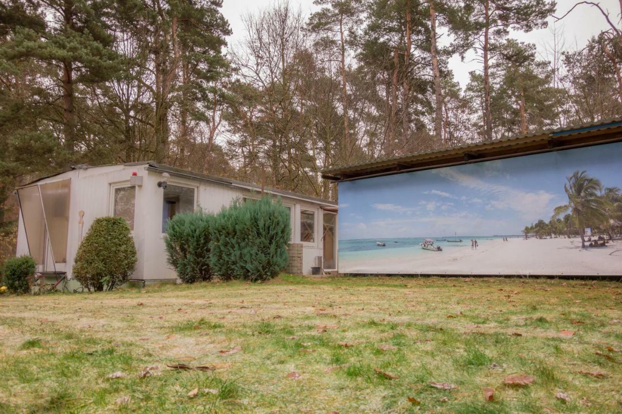 Bungalow Am Wald Bernau bei Berlin Ngoại thất bức ảnh